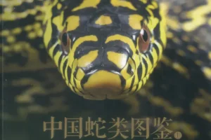 中国蛇类图鉴（全两册）：245种野生蛇类系统识别与生态图谱