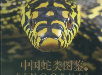 中国蛇类图鉴（全两册）：245种野生蛇类系统识别与生态图谱
