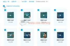 朱伟高考版恋恋有词视频课程