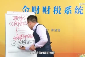 张金宝财税系统实战：企业财税体系搭建精华版（2集）