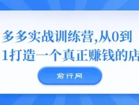 多多实战训练营：从0到1打造真正盈利的店铺