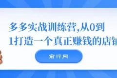 多多实战训练营：从0到1打造真正盈利的店铺