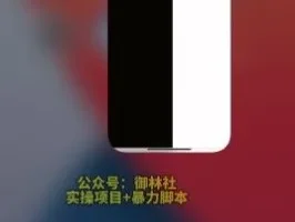 手机视频搬运实战：一部手机搞定原创与上热门
