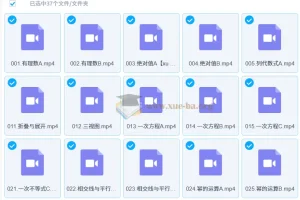 2025大海初中数学学霸班课程全套精讲