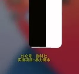 手机视频搬运实战：一部手机搞定原创与上热门