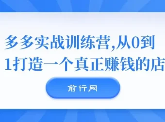 多多实战训练营：从0到1打造真正盈利的店铺