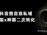 抖音直播音浪变现与私域二次转化教程，日引精准粉实操指南