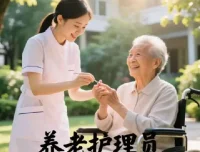 养老护理员系列课程合集：从基础到实操的全方位培训资源