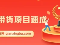 图文带货项目速成1.0：零门槛副业新玩法，无需出镜与发货也能轻松变现