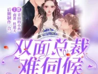 有声小说《双面总裁难伺候》青田的小冉多人有声剧203集完结