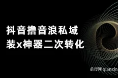 抖音直播音浪变现与私域二次转化教程，日引精准粉实操指南