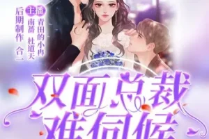 有声小说《双面总裁难伺候》青田的小冉多人有声剧203集完结
