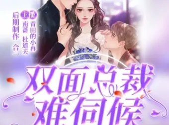 有声小说《双面总裁难伺候》青田的小冉多人有声剧203集完结