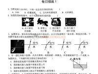 2024中考错题练习与答案解析PDF合集