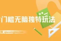 零门槛无脑玩法 日入300+秒交付高复购 矩阵操作无上限
