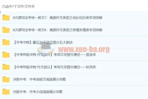初中语文专题包：中考阅读与作文冲刺攻略合集