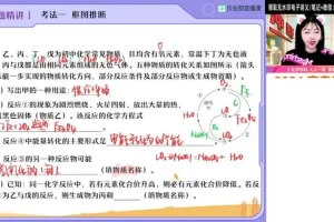 2024中考化学S班秋季高效提分攻略：杨雯智主讲核心考点与易错专项