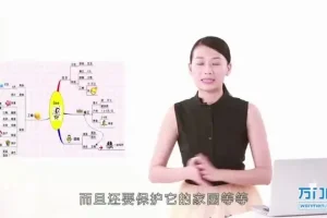 世界记忆大师：快速提升记忆力的终极指南