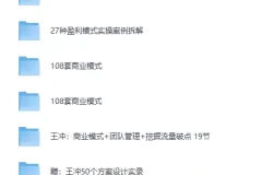 王冲《27种盈利模式》实战课程合集：商业模式创新与流量变现全攻略