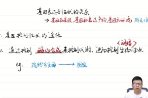 2025万猛高考生物一轮二轮全程复习视频课