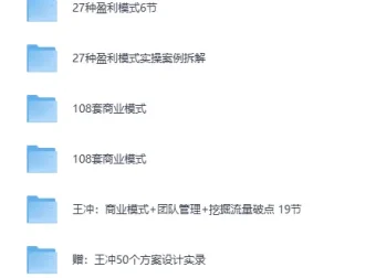王冲《27种盈利模式》实战课程合集：商业模式创新与流量变现全攻略