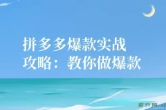 拼多多爆款实战攻略：从0到1打造爆款店铺