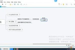 拼多多运营实战指南：15套独家技术玩法全解析