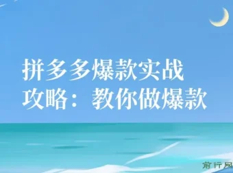 拼多多爆款实战攻略：从0到1打造爆款店铺