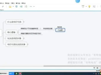 拼多多运营实战指南：15套独家技术玩法全解析