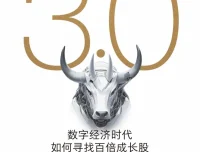 价值投资3.0：数字经济时代如何寻找百倍成长股（epub电子书）