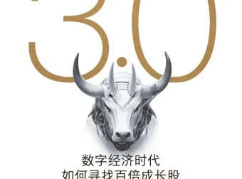价值投资3.0：数字经济时代如何寻找百倍成长股（epub电子书）
