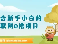 互联网零撸项目新手教程，手机操作轻松日入三位数