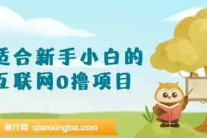 互联网零撸项目新手教程，手机操作轻松日入三位数