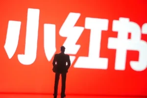 金牌导师带你系统运营小红书，零基础进阶赚钱博主实战课