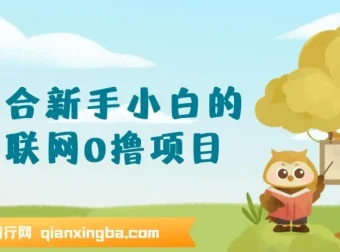 互联网零撸项目新手教程，手机操作轻松日入三位数