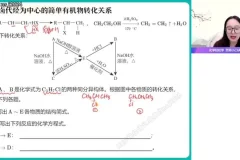 2024高二化学寒假提升班·赵怡然精讲原子结构与有机化学