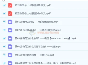 2024初三中考物理 杨萌 A+秋季班 系统课程