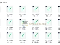 婷婷讲成语：儿童智慧启蒙有声读物（99集全）