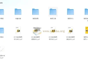 考虫雅思系统班全科课程合集