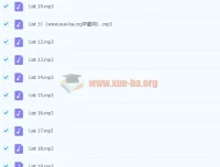 十天搞定四级词汇：便携版配套音频（核心词+全List）