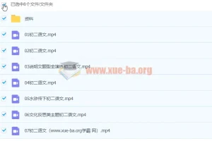 2021八年级语文寒假特训（7讲）段微微 完结