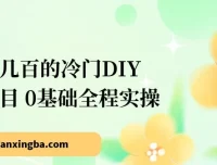 冷门DIY项目新手实操指南：0基础也能上手，日入几百的变现思路