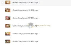学龄前英语启蒙动画《Go！Go！小小车向前冲》全三季合集