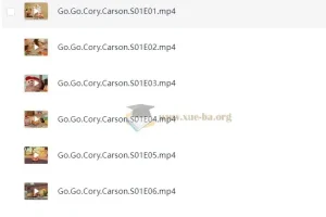 学龄前英语启蒙动画《Go！Go！小小车向前冲》全三季合集
