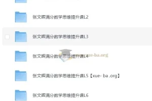 张文晖满分数学思维提升课L1-L6全阶段系统课程