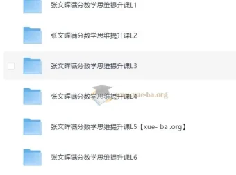 张文晖满分数学思维提升课L1-L6全阶段系统课程