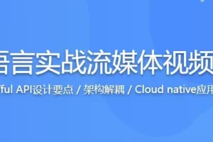 Go语言实战：从零构建流媒体视频网站，掌握高性能开发核心技能（附源码课件）