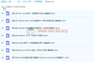 董嘉琳 小学三年级英语寒假班 7讲完结