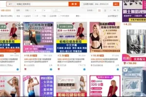 淘宝虚拟产品运营课：新手入门到快速盈利，副业月入万元实战指南