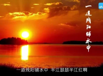 四年级语文上册动画同步课程（芝麻学社）
